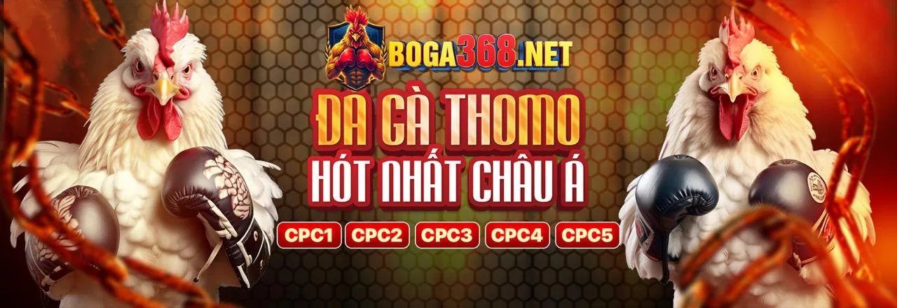 Kêu gọi hành động tham gia đối tác mew88