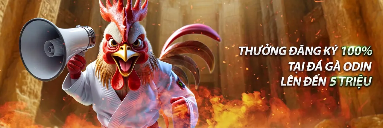 Đá gà mew88 - Trải nghiệm cá cược trực tuyến